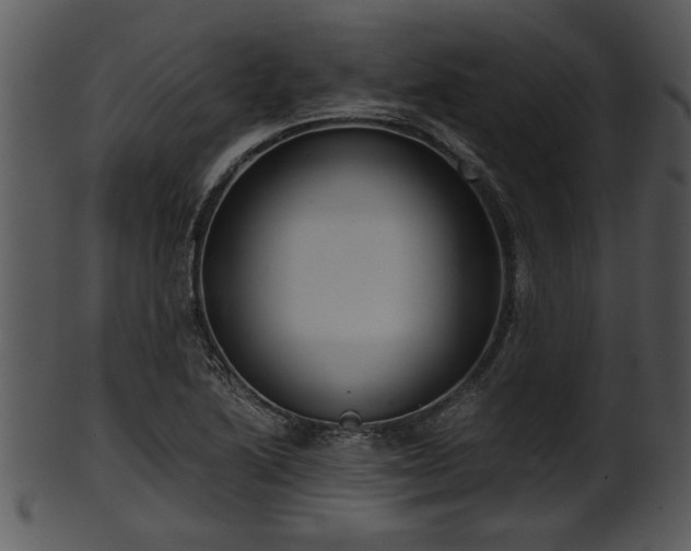 X0000101411222200807141124