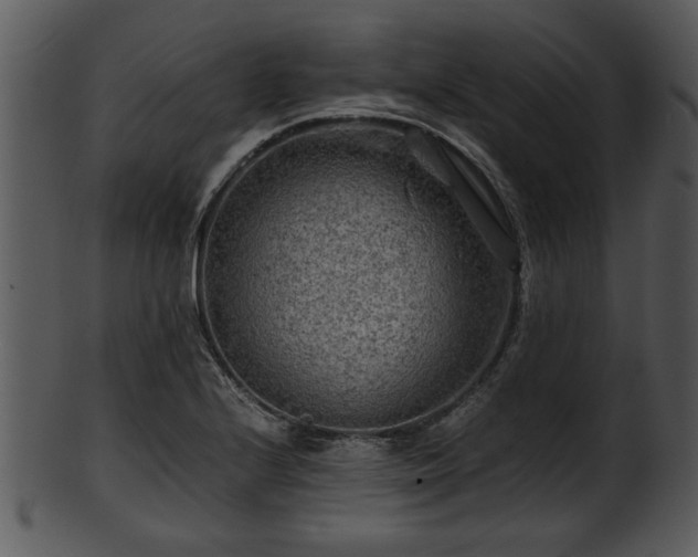 X0000101411224200807141124