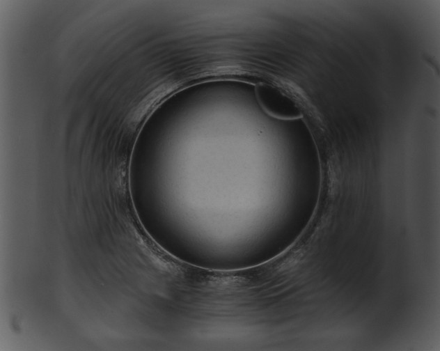 X0000101411225200807141124