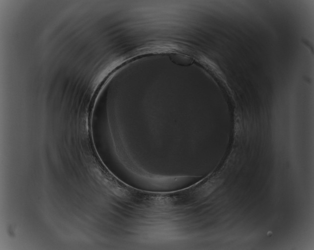 X0000101411226200807141124