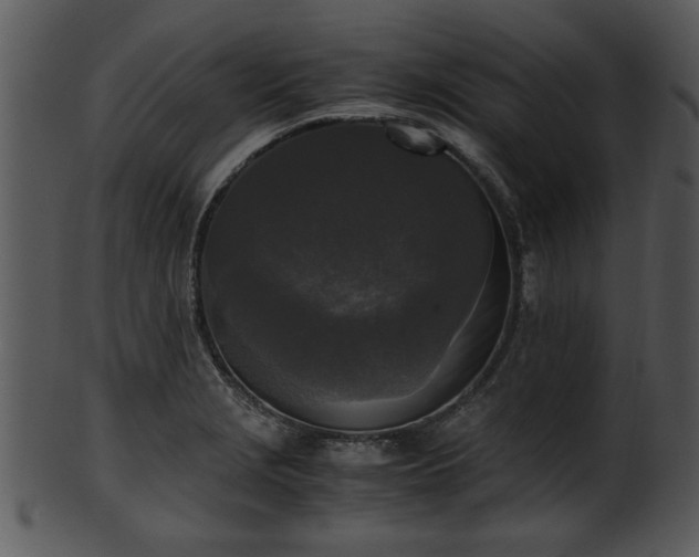 X0000101411229200807141124