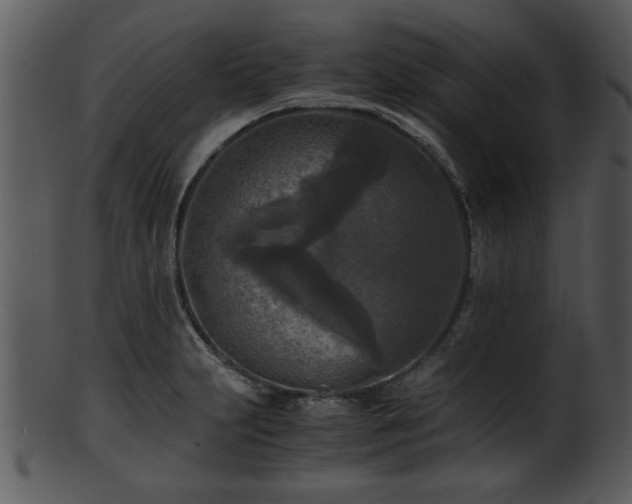 X0000101411231200807141124
