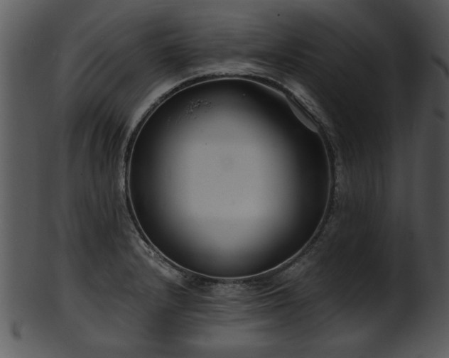 X0000101411232200807141124