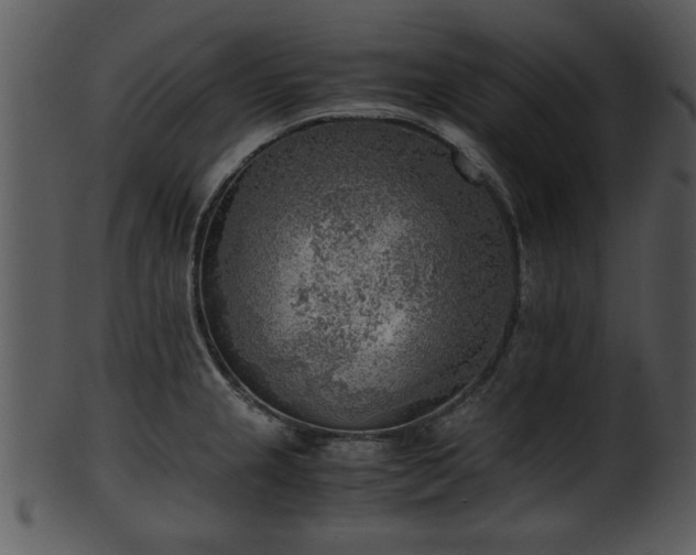 X0000101411237200807141124