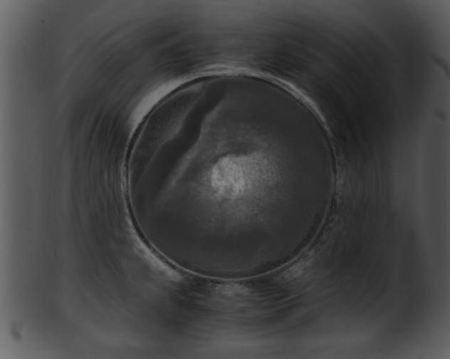 X0000101411239200807141124