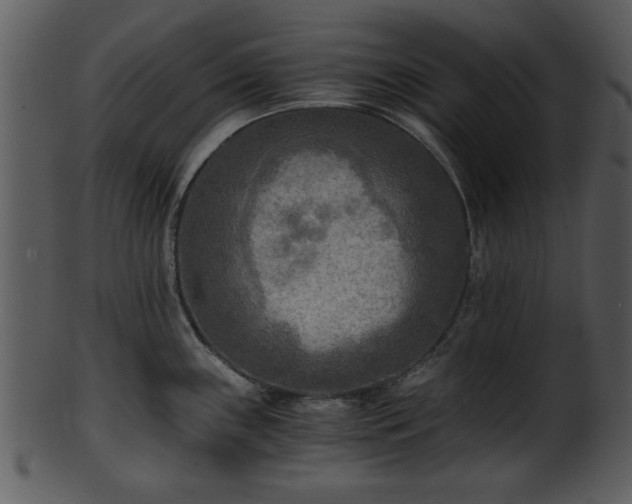 X0000101411243200807141124