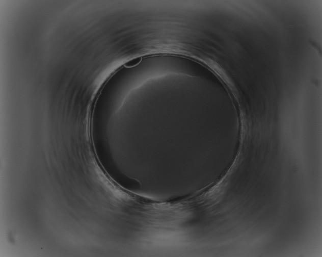 X0000101411246200807141124