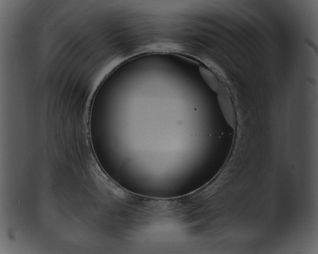 X0000101411248200807141124