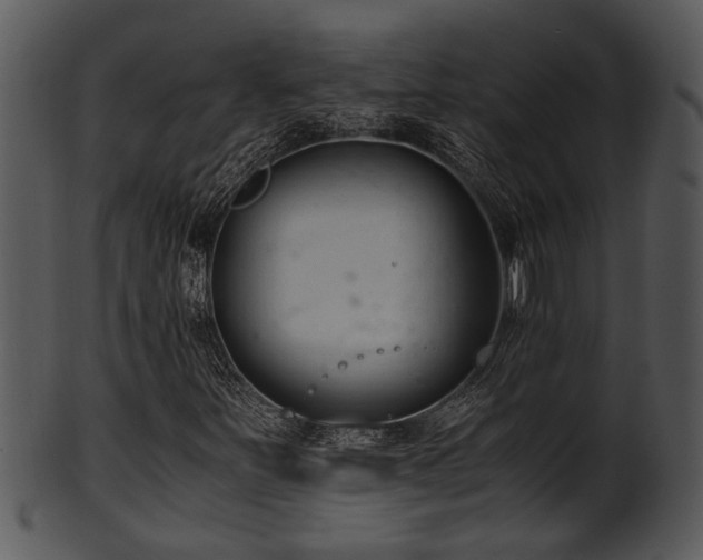 X0000101411251200807141123