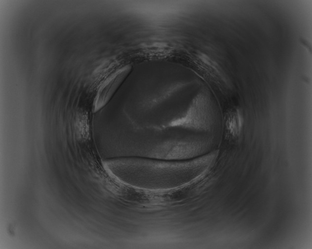 X0000101411252200807141123