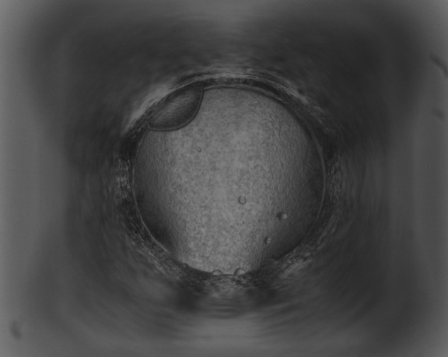 X0000101411255200807141123
