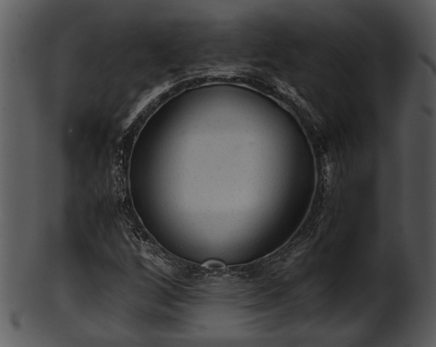 X0000101411256200807141123