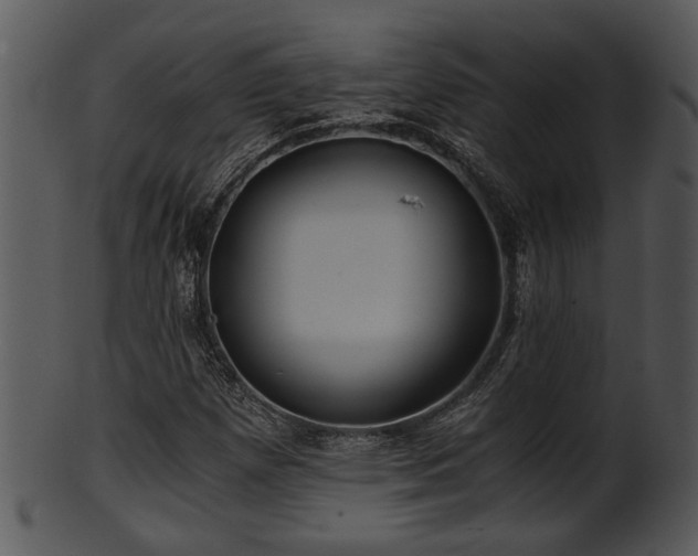 X0000101411257200807141123