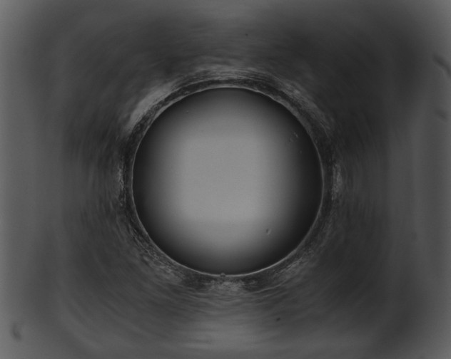 X0000101411261200807141123