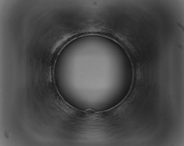 X0000101411262200807141123