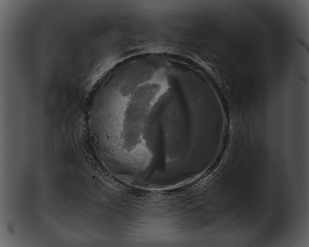 X0000101411263200807141123
