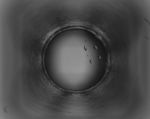 X0000101411264200807141123