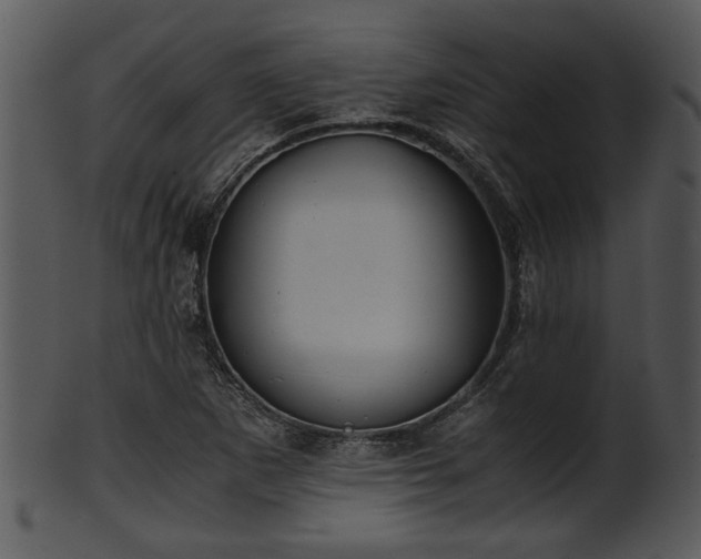X0000101411265200807141123
