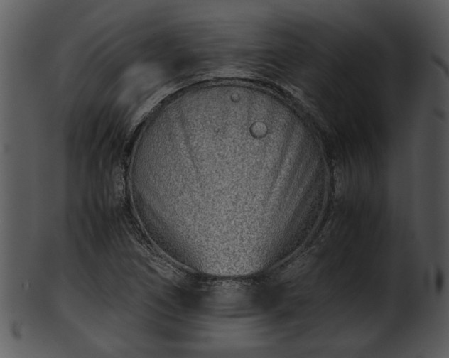X0000101411266200807141123