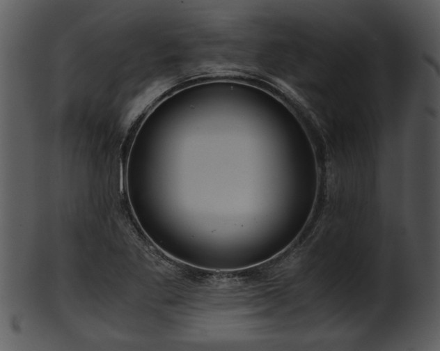 X0000101411269200807141123