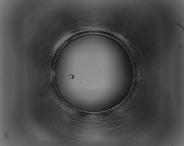 X0000101411271200807141123