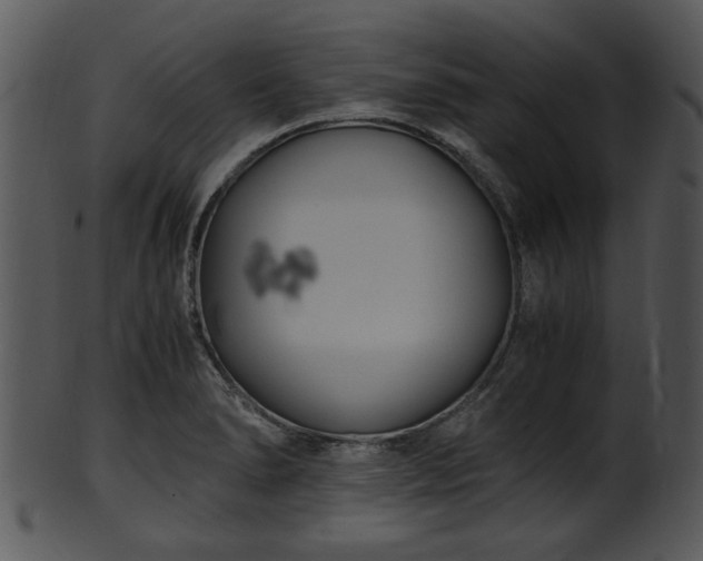 X0000101411278200807141123