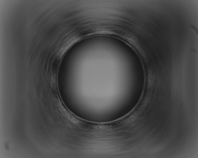 X0000101411281200807141123