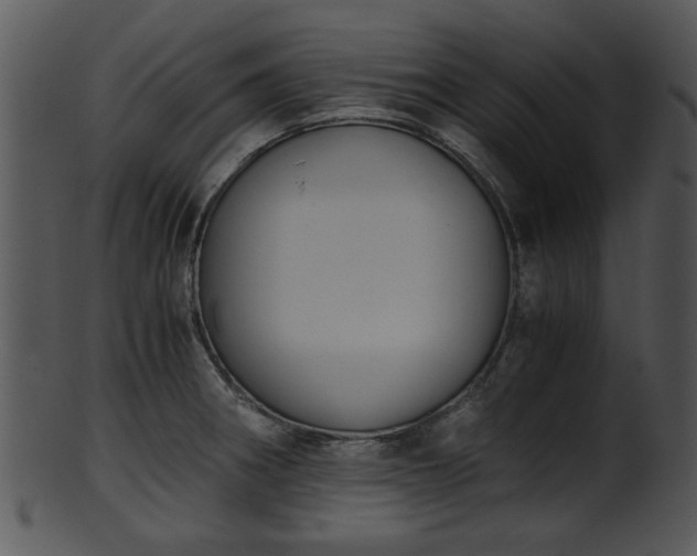 X0000101411282200807141123