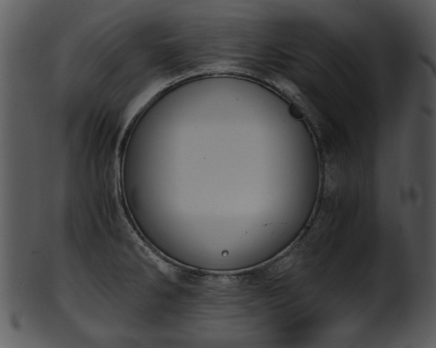 X0000101411286200807141123