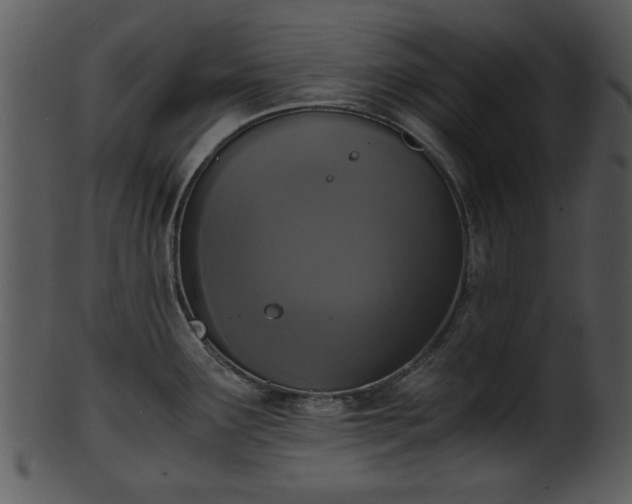 X0000101411291200807141122