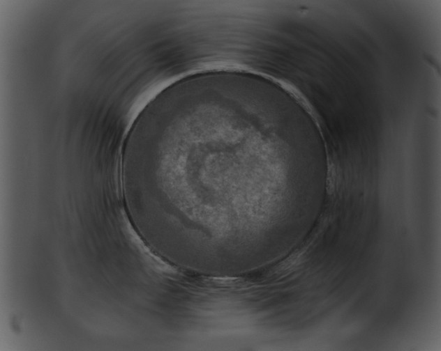 X0000101411295200807141122