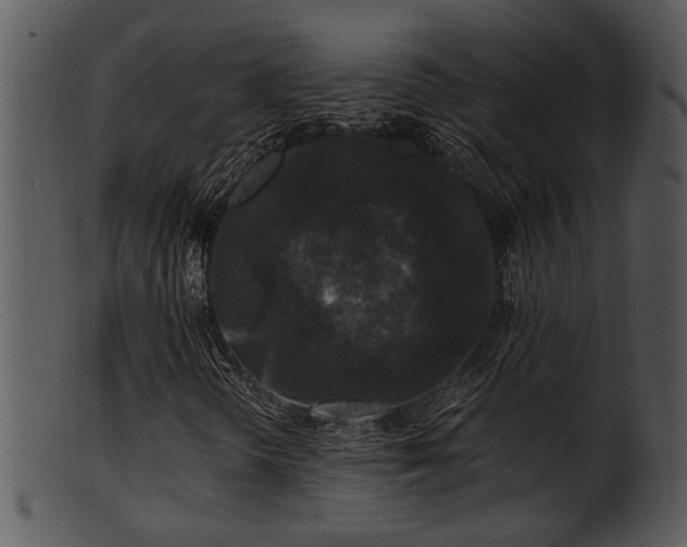 X0000101411298200807141122