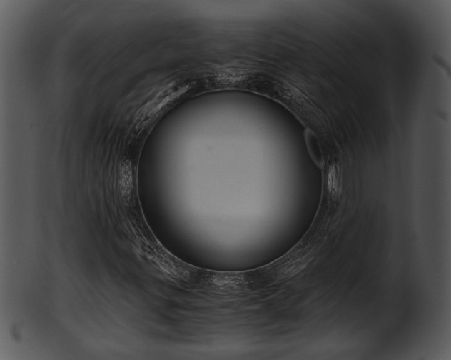 X0000101411299200807141122