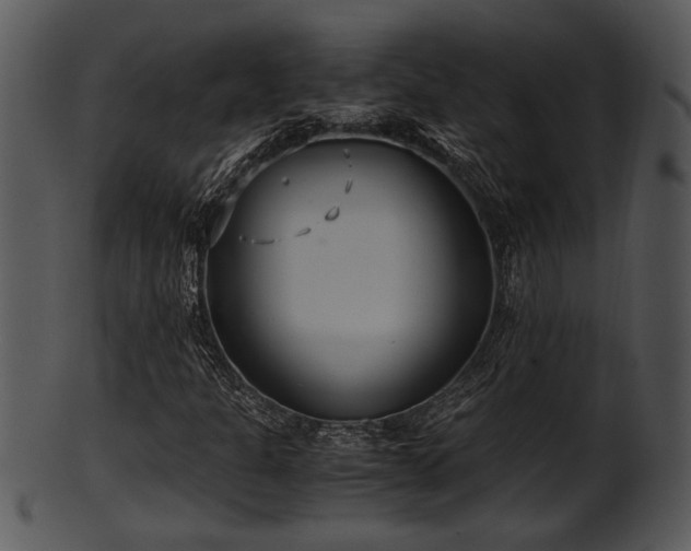 X0000101411301200807141122