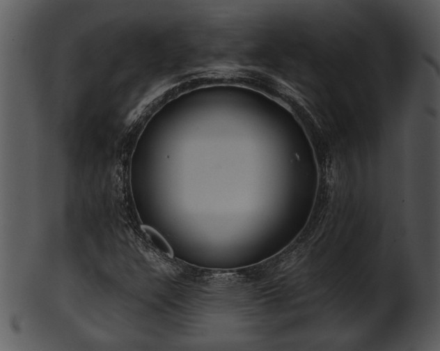 X0000101411304200807141122