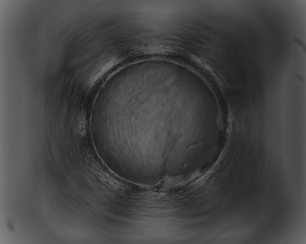 X0000101411306200807141122
