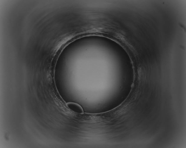 X0000101411308200807141122