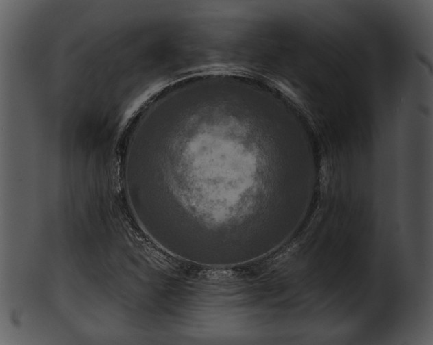 X0000101411310200807141122