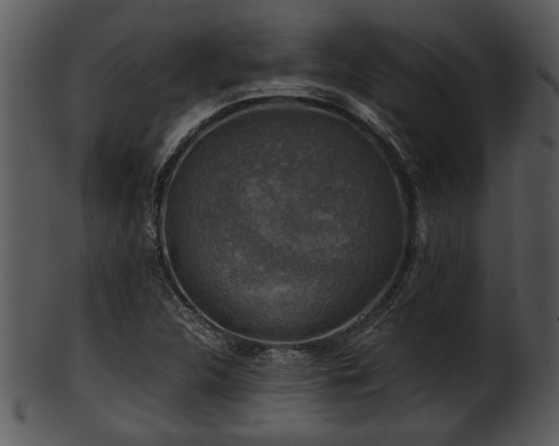 X0000101411312200807141122