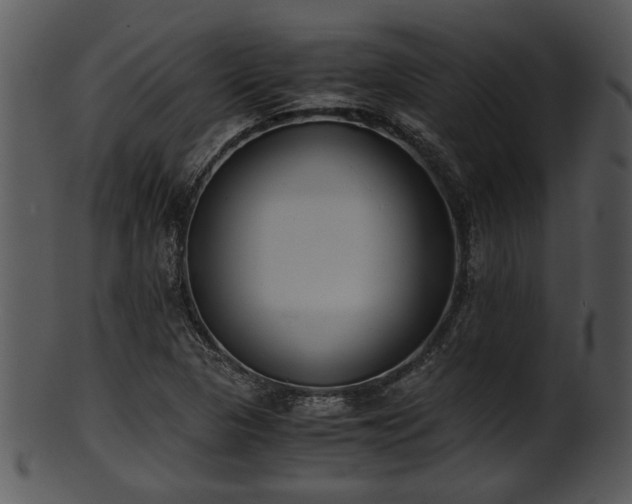 X0000101411313200807141122
