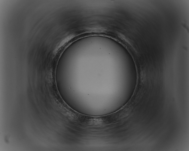 X0000101411315200807141122