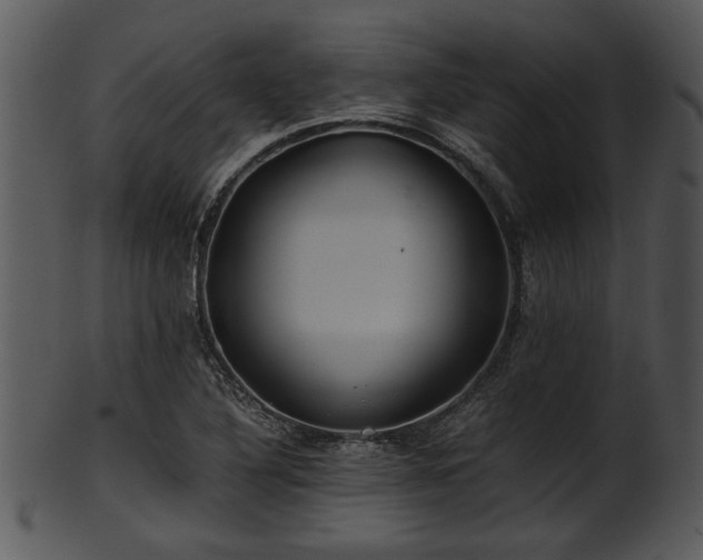 X0000101411316200807141122