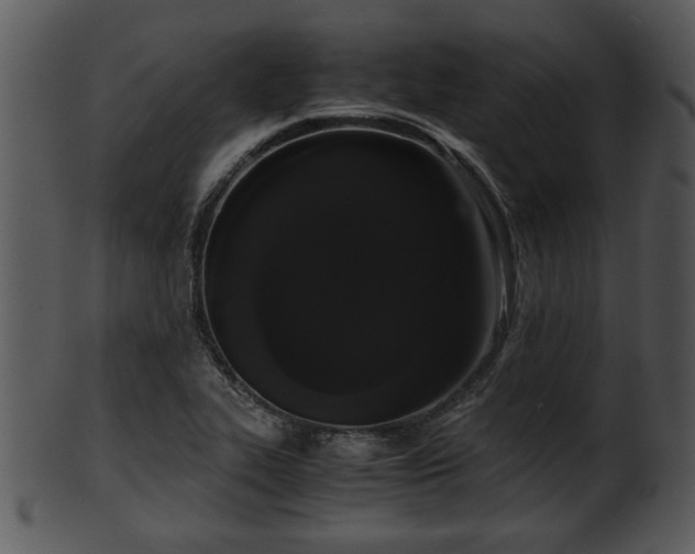X0000101411319200807141122