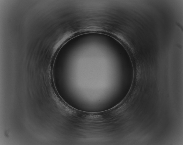 X0000101411325200807141122