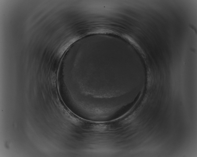 X0000101411329200807141122