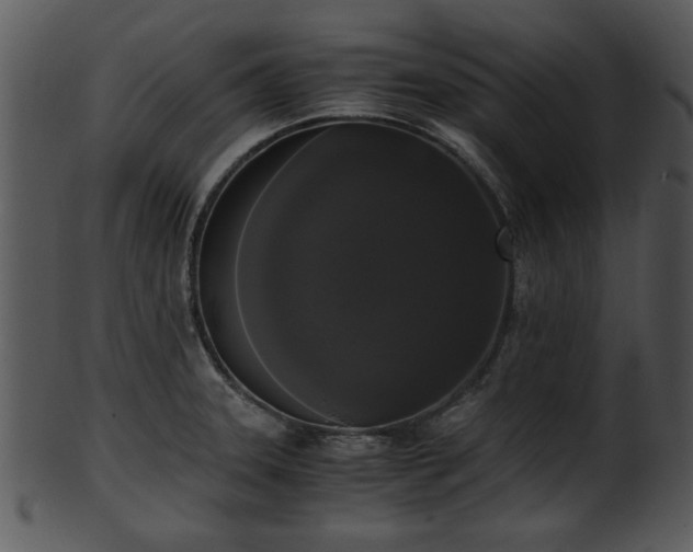 X0000101411331200807141122
