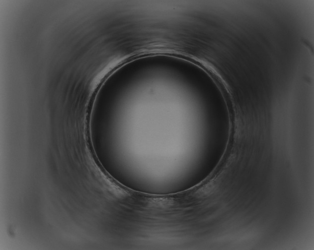 X0000101411333200807141122