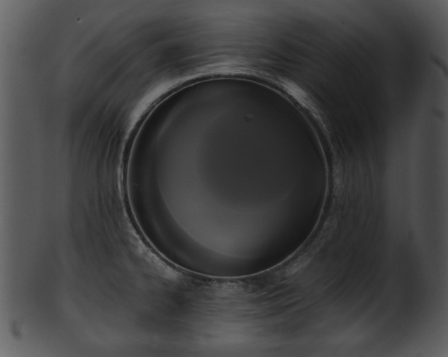X0000101411334200807141122