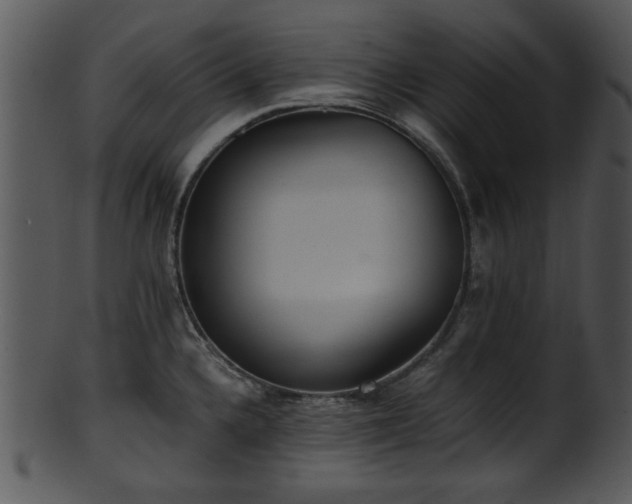 X0000101411336200807141122