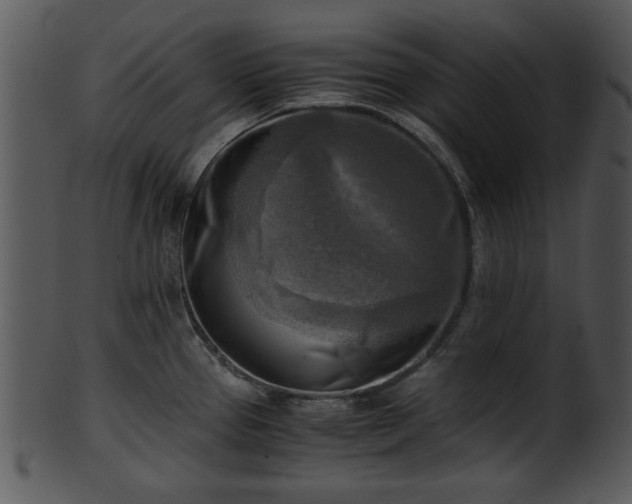 X0000101411337200807141122